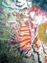 07Moorea - 18
